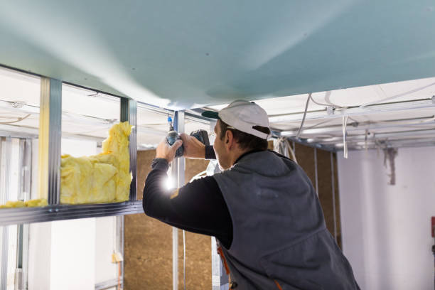 Soundproof Insulation Installation in Laporte, CO