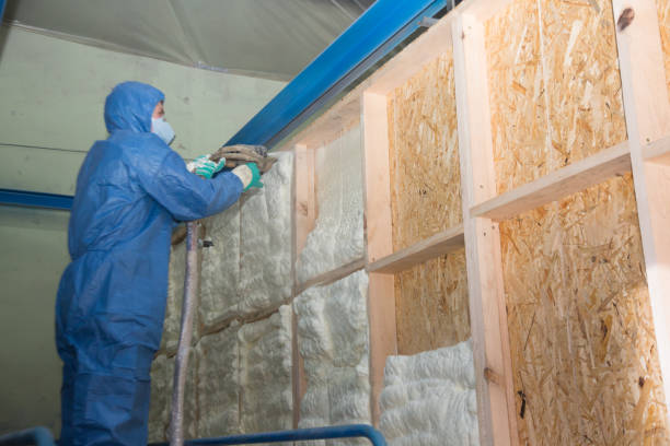 Best Cellulose Insulation  in Laporte, CO