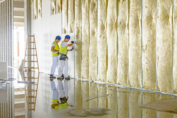 Insulation Replacement Services in Laporte, CO